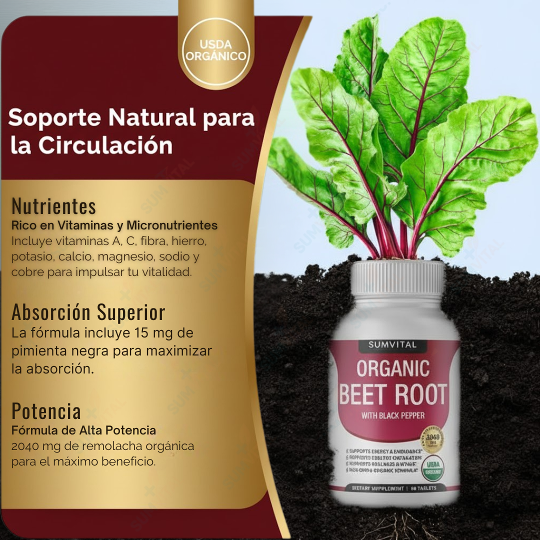 Sumvital Top Luxe Raíz de Remolacha Orgánica Sumvital